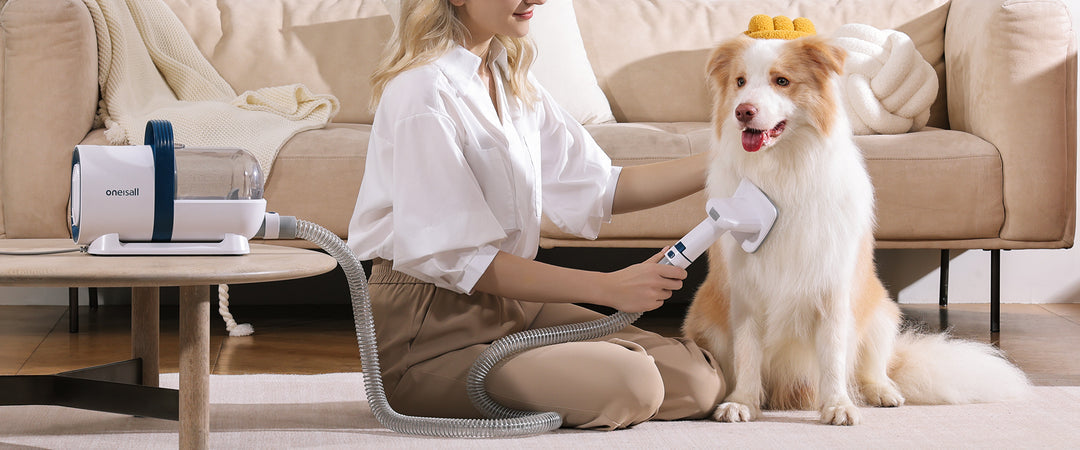 Hoe vaak moet je je hond verzorgen?
