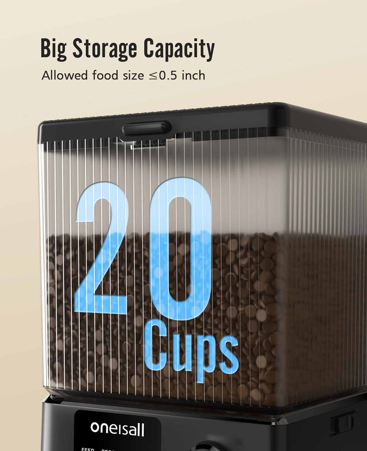 big storagte capacity