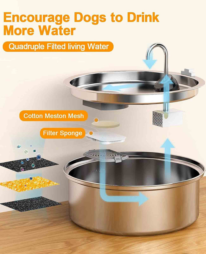 encourage dogs to drink more water