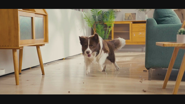 Oneisall S1 7-in-1 Hondentondeuse Kit - Honden trimset - Dierentrimmer - Zuigen en Trimmen - Katten en Honden - 1,5L Opvangbak - Stofzuiger voor Dierenharen